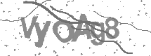 visual captcha